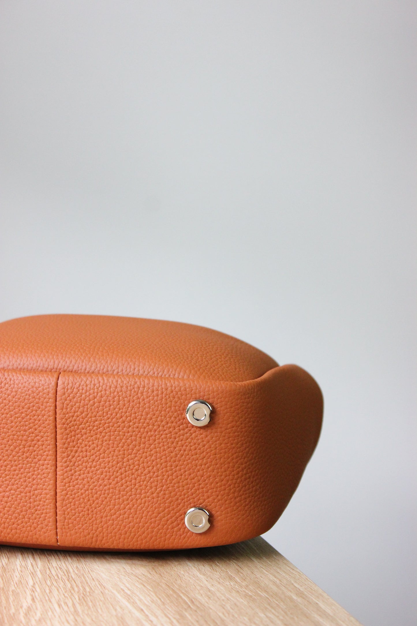 Holly Genuine Leather Bag in Tan