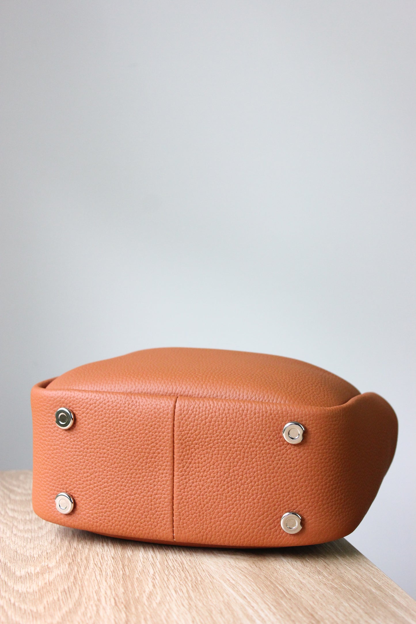 Holly Genuine Leather Bag in Tan